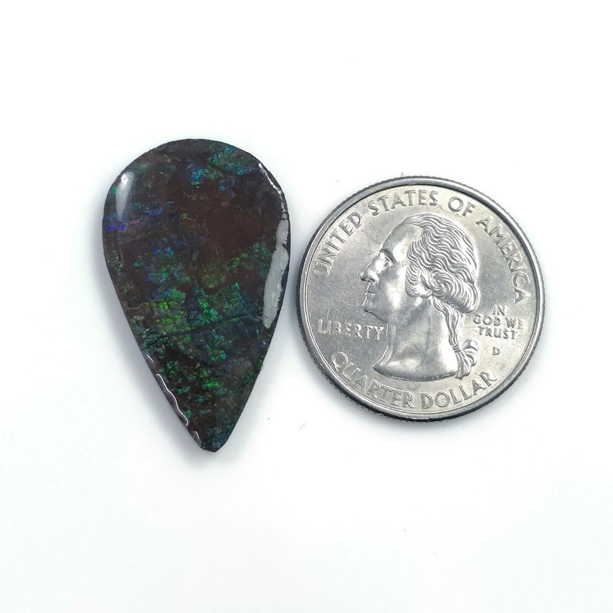 AMMOLITE Gemstone Cabochon : 16.60cts Natural Fossilized Shell Bi-Color Ammolite Pear Shape 31*18mm (With Video)