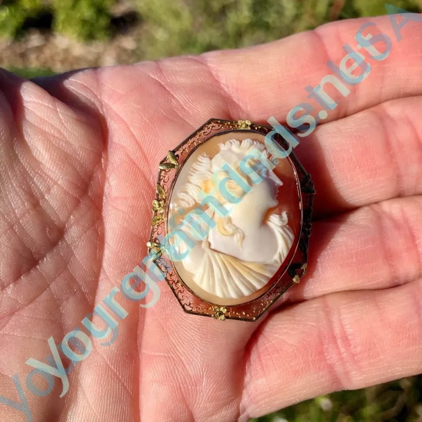 Antique Shell Cameo Pendant Brooch 10K Gold Filigree