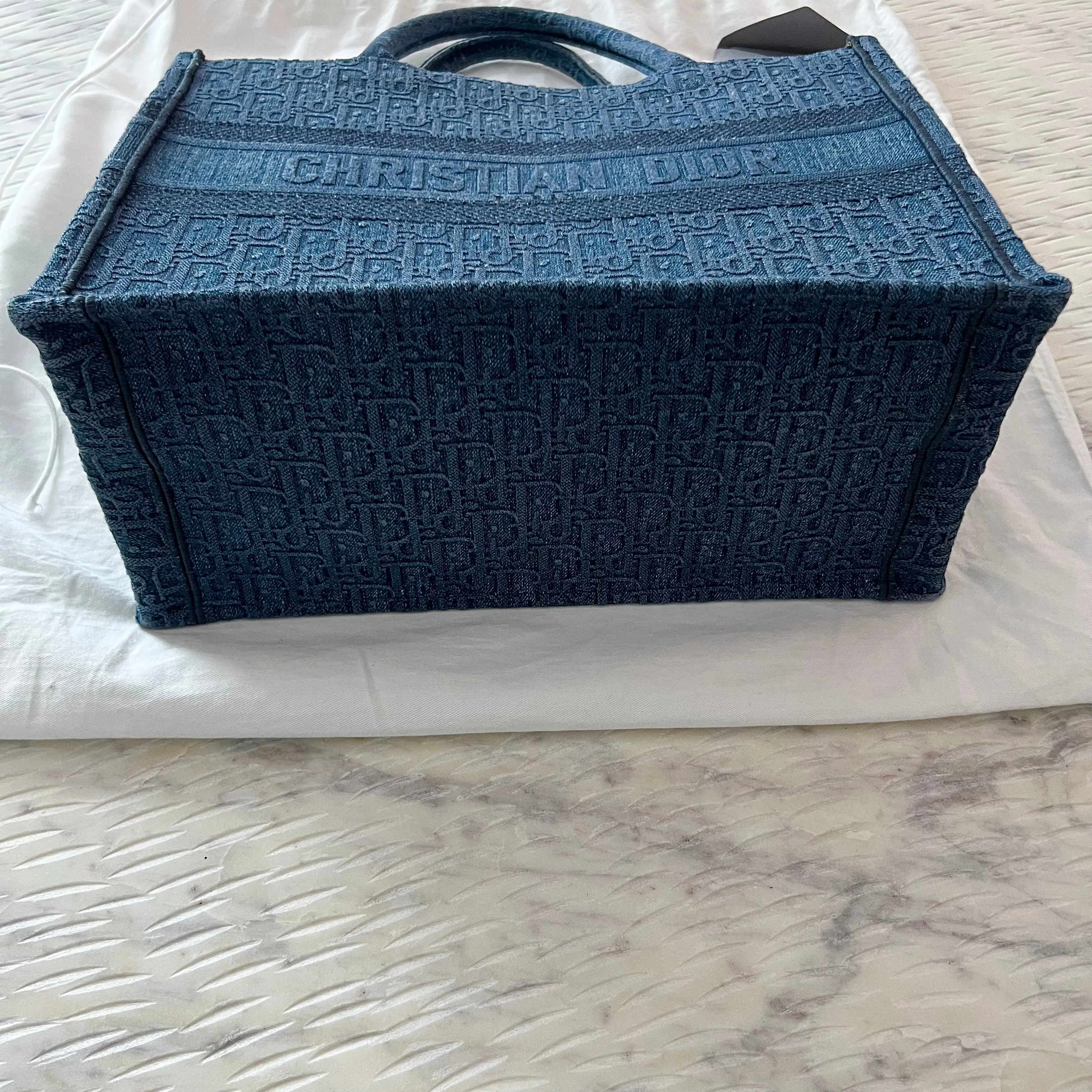 Christian Dior Book Tote Bag