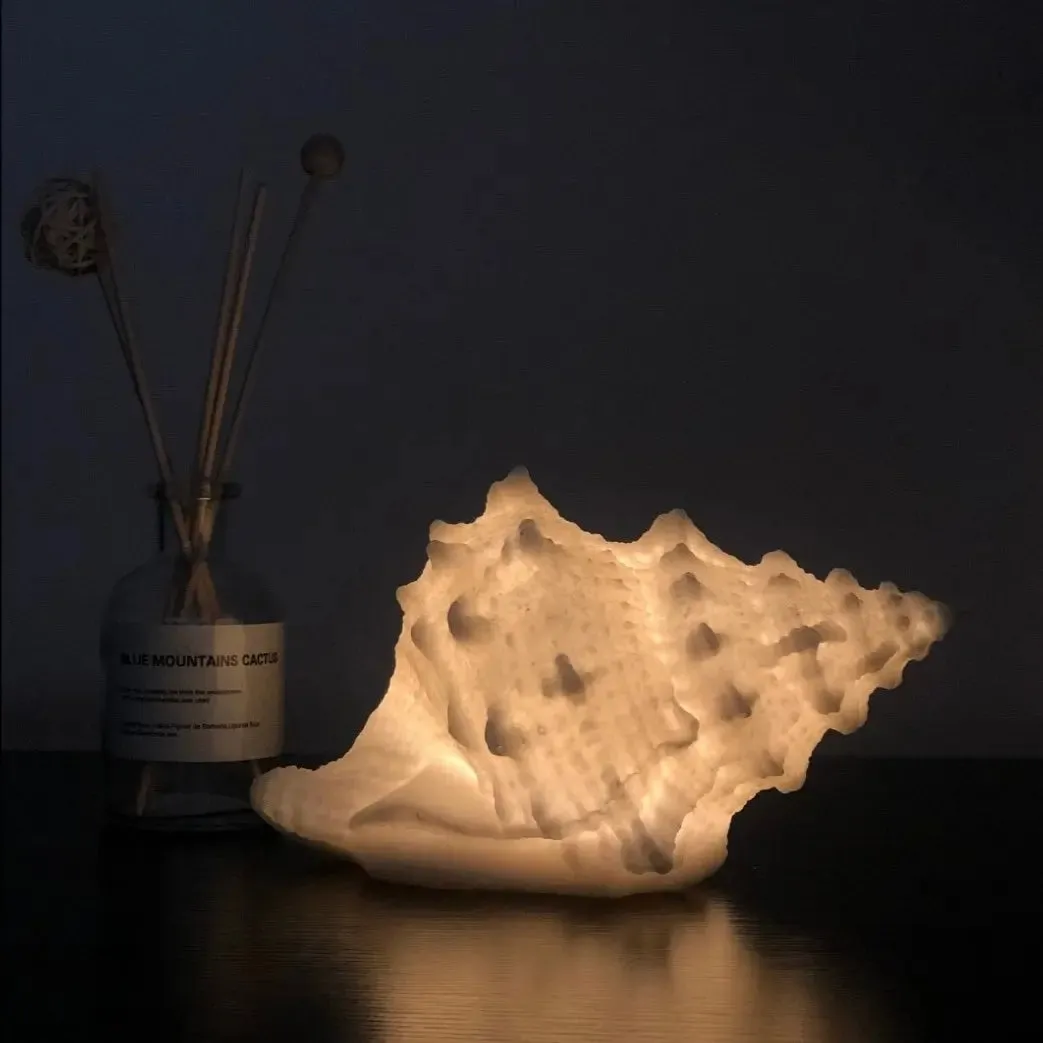 Conch and Shell Lamps MK19442