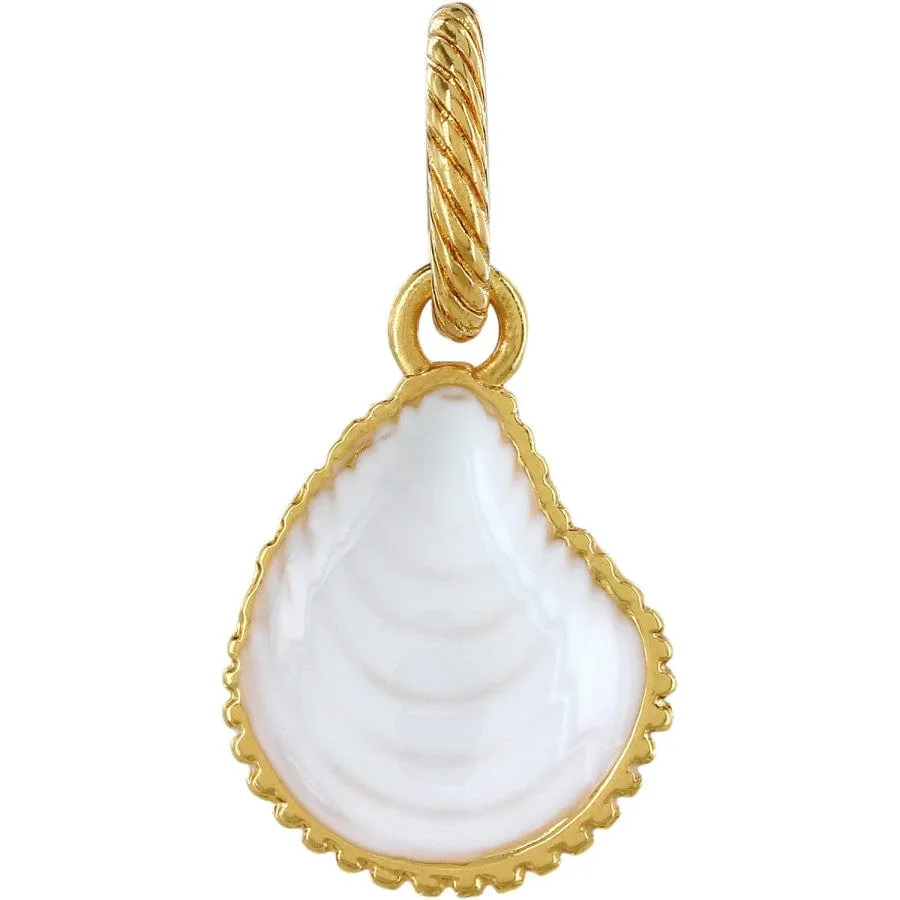 Sassy Shell Charm