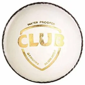 SG Club WHITE Cricket Ball - 156 grams