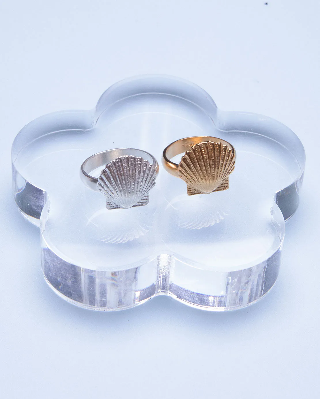 Shell Ring