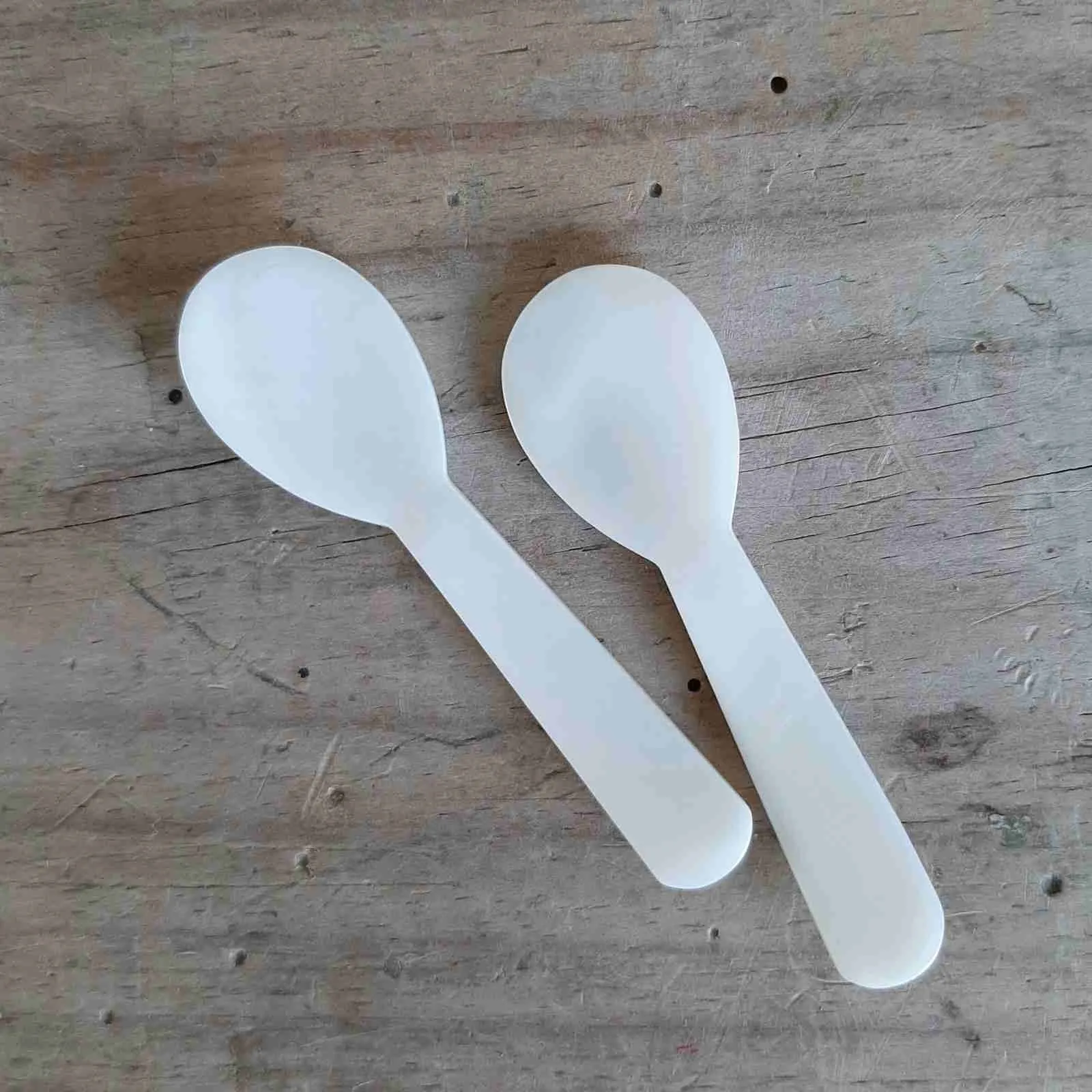 Tiny Shell Spoon