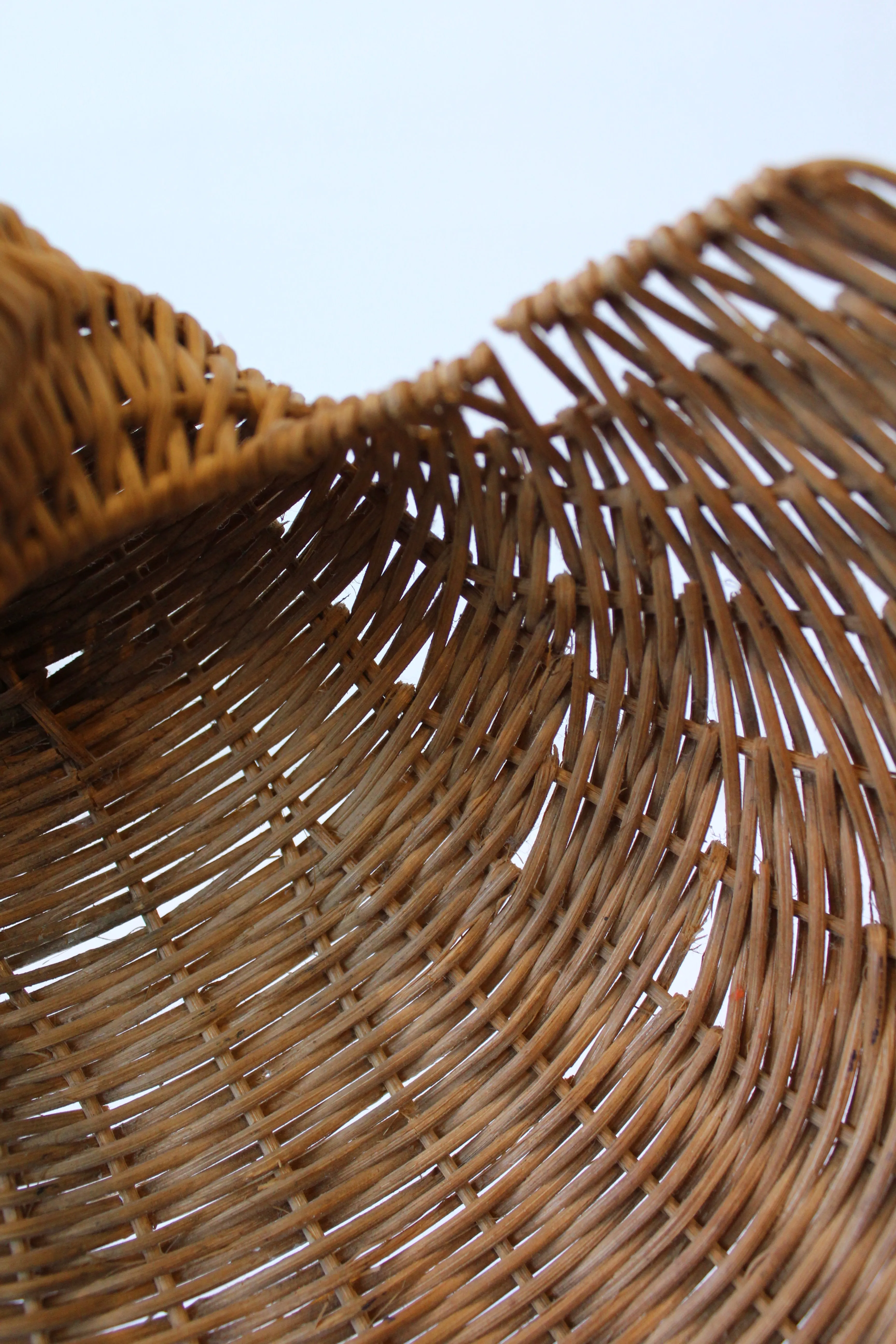 Wicker Shell Basket